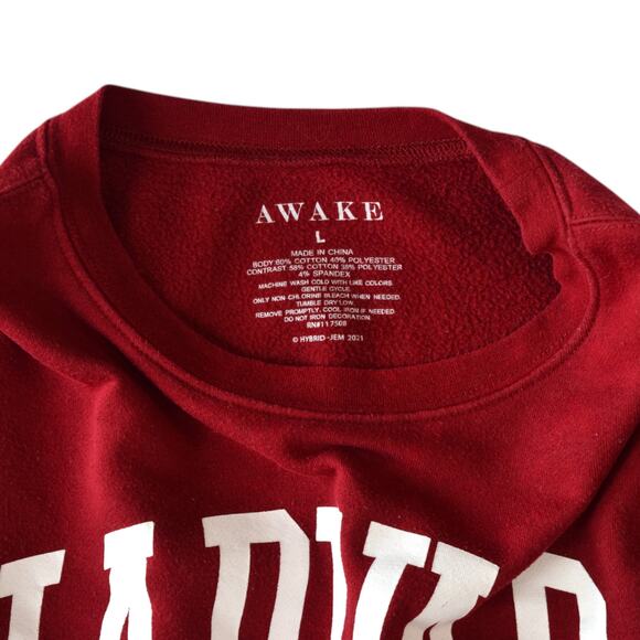 Harvard University Vintage Style Burgundy Oversized Sweatshirt Size Large - Picture 3 of 4